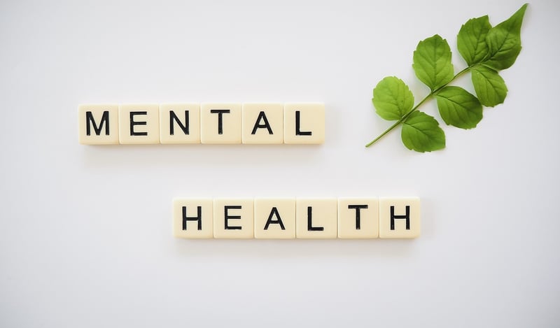 Mental Health Wellness