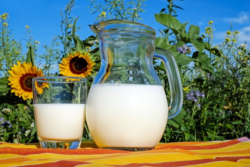 Calcium food sources